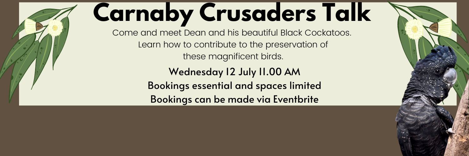 Carnaby Crusaders Talk