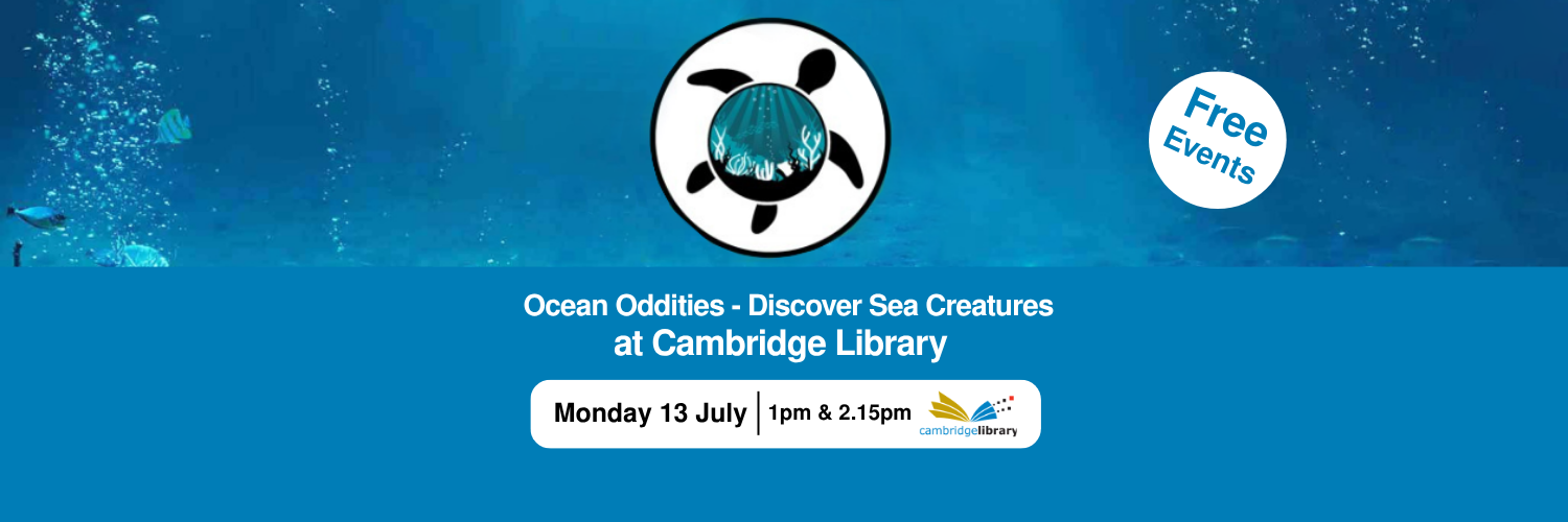 Ocean-Oddities.png