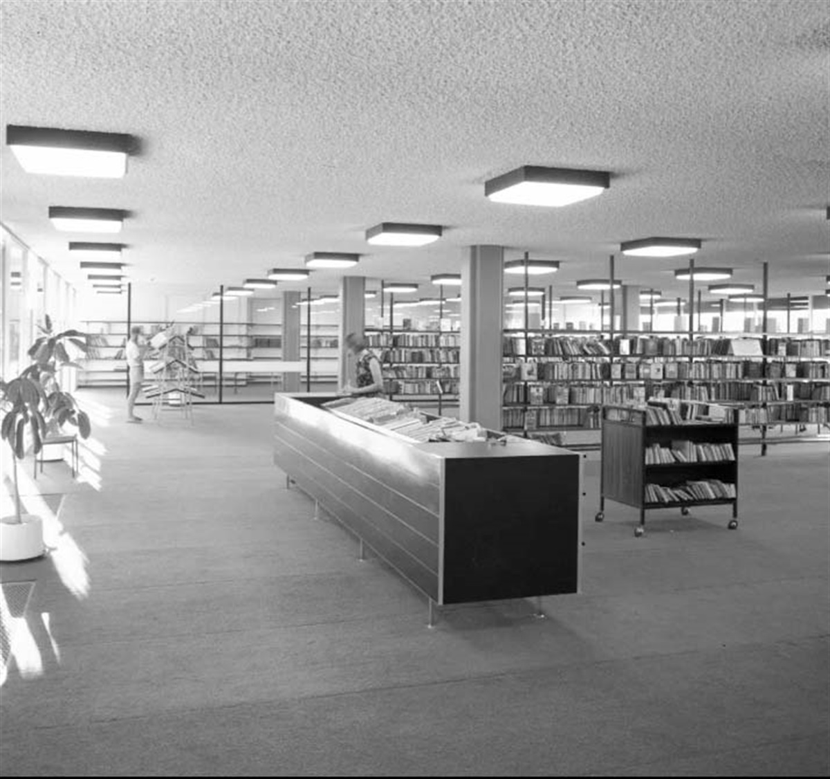 History of Cambridge Library